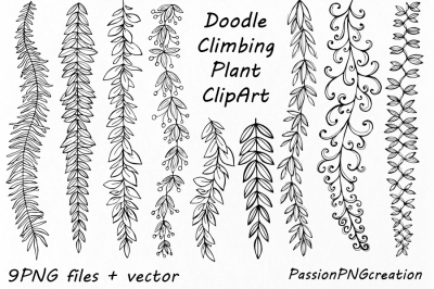 Doodle Climbing Plant ClipArt, Hand Drawn Herbs Clipart, Leaves clip art,