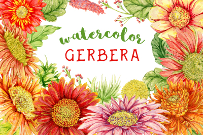Watercolor gerbera flowers