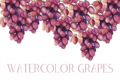 Watercolor Grapes