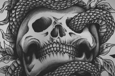Snake & Skull