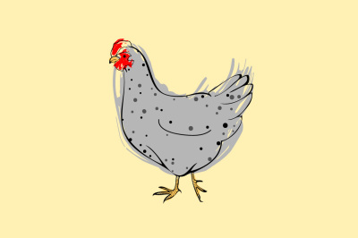 chicken illustration vector
