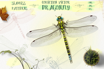 Dragonfly inspiration