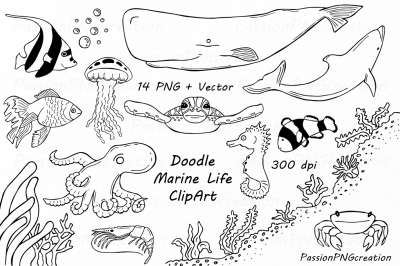 Doodle Marine Life Clipart, Sea Life clip art