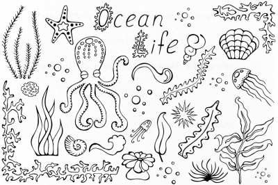 Ocean life clip art, PNG, EPS, AI
