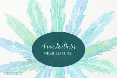 Watercolor Aqua Feathers