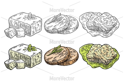 Set Vegan and Vegetarian food. Tofu, Seitan, Tempeh. 