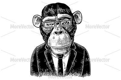 Monkey businessman. Vintage black engraving