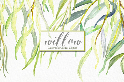 Willow branches. Watercolor clipart.