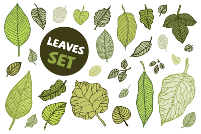 Leaves set