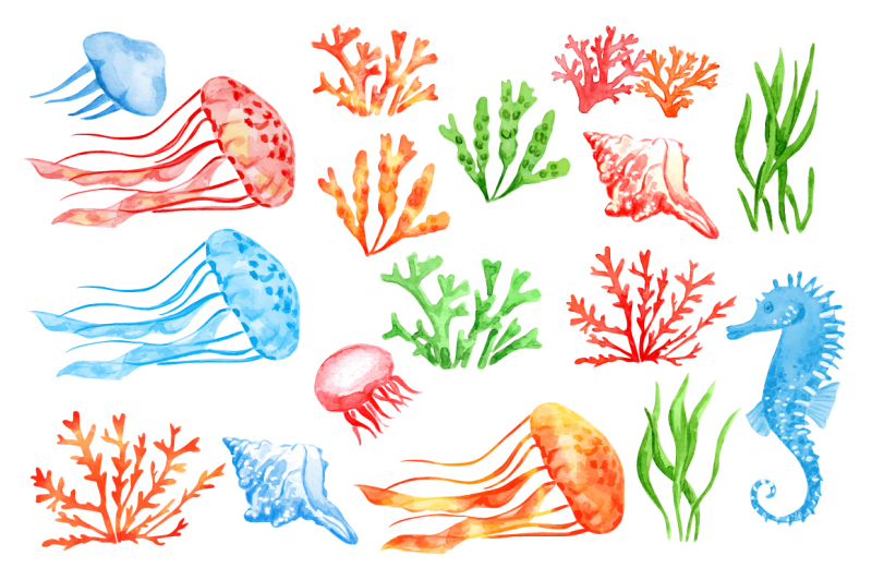 tropical-fish-and-seashells