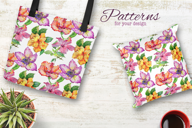 hibiscus-png-watercolor-flower-set