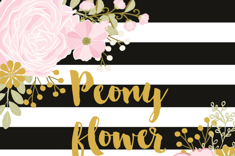 peony-flower-stripes