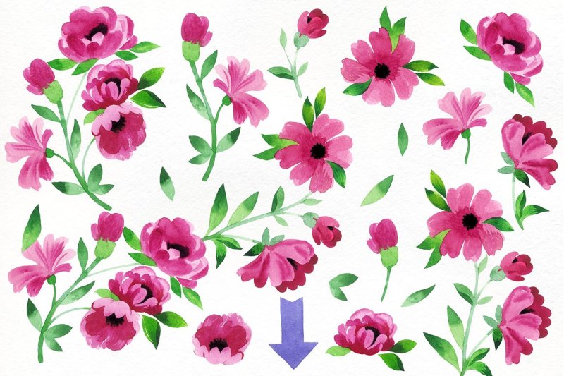 watercolor-png-floral-elements-pattern