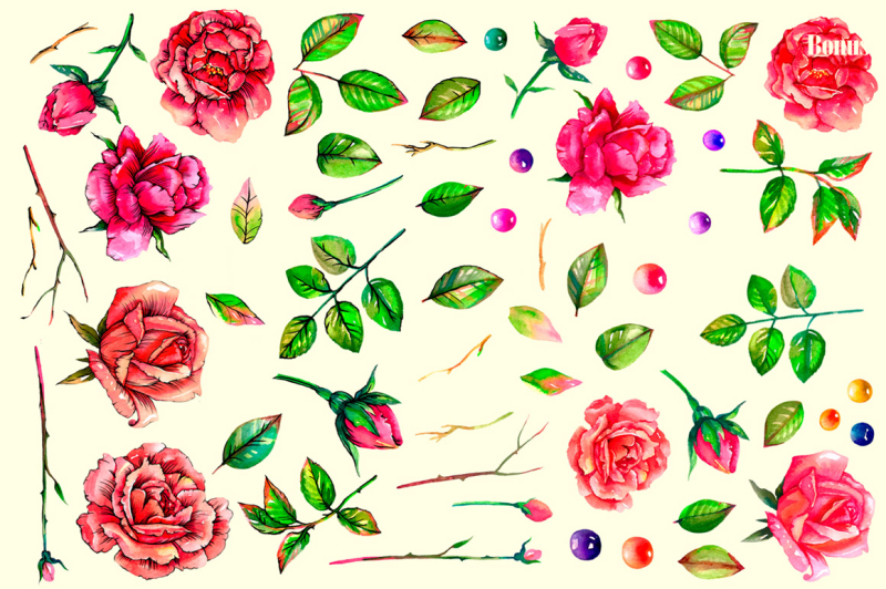 hend-painted-watercolor-rose-set