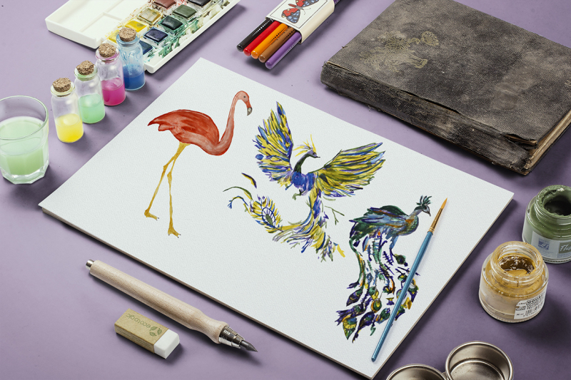 watercolor-birds-set