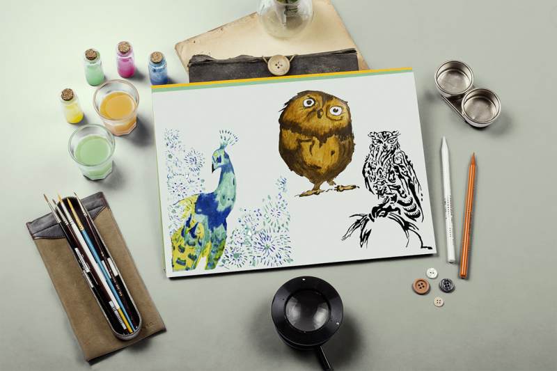 watercolor-birds-set