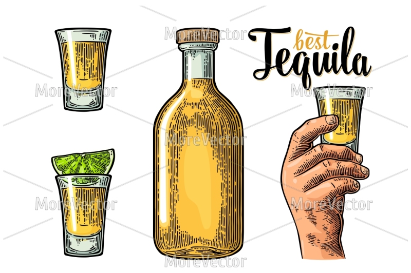 big-bundle-illustration-pattern-and-posters-tequila-with-engraving