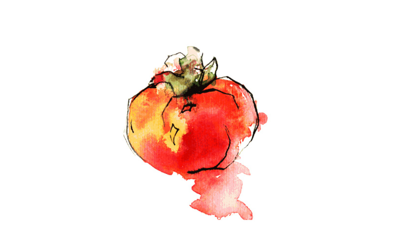 tomato-watercolor