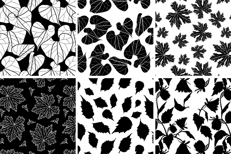 black-and-white-plants