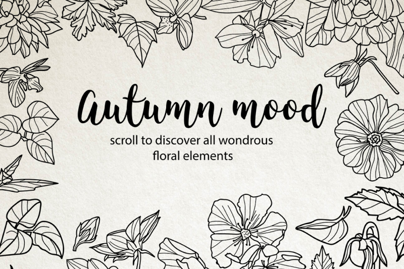 50-hand-drawn-floral-elements