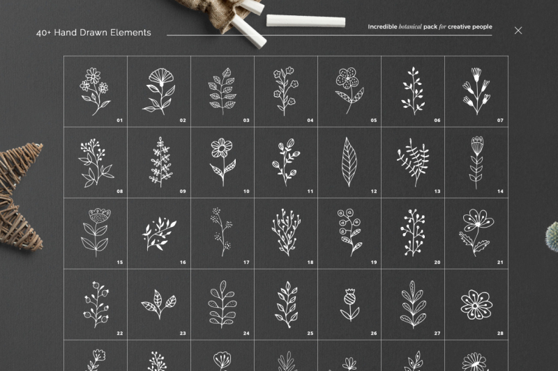 40-botanical-hand-drawn-elements