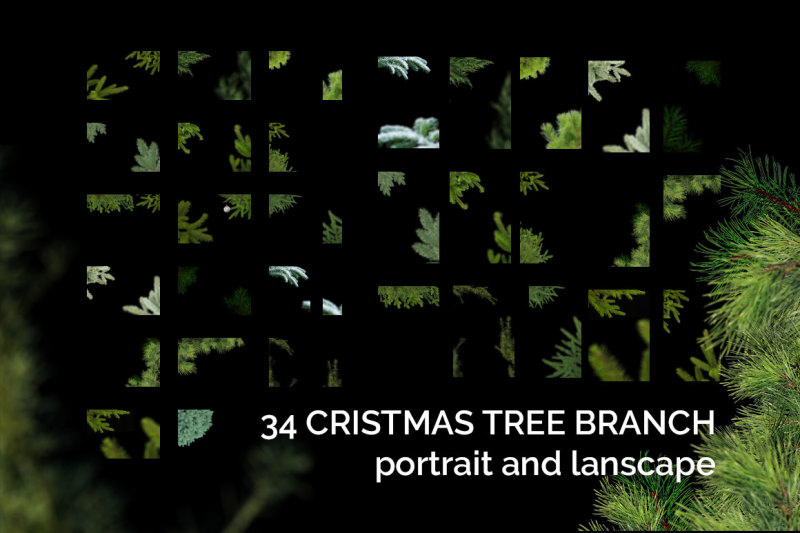 51-christmas-tree-brunch-overlays