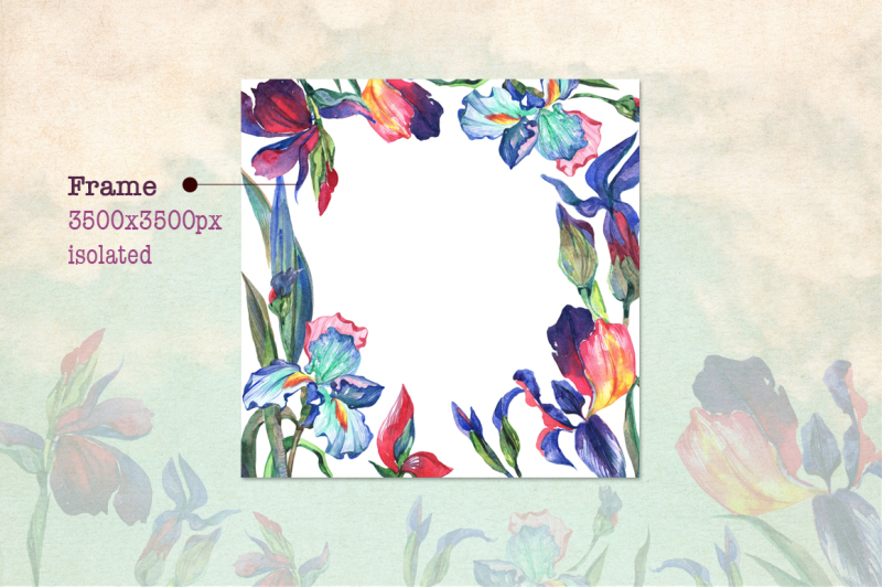 irises-png-watercolor-flower-set