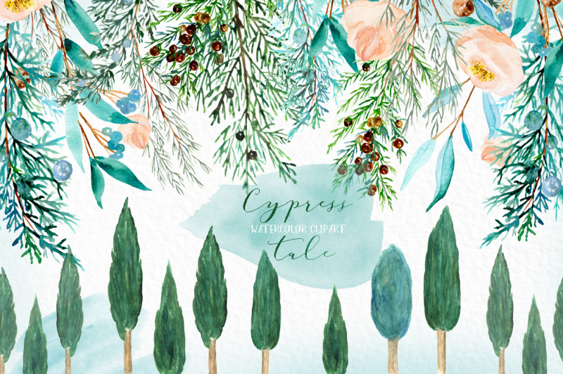 cypress-tale-watercolor-clipart