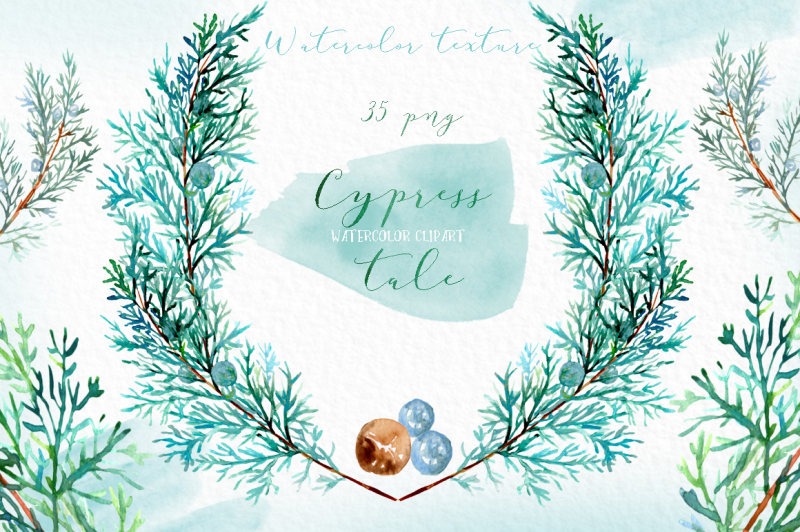 cypress-tale-watercolor-clipart