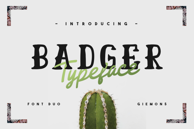 badger-typeface