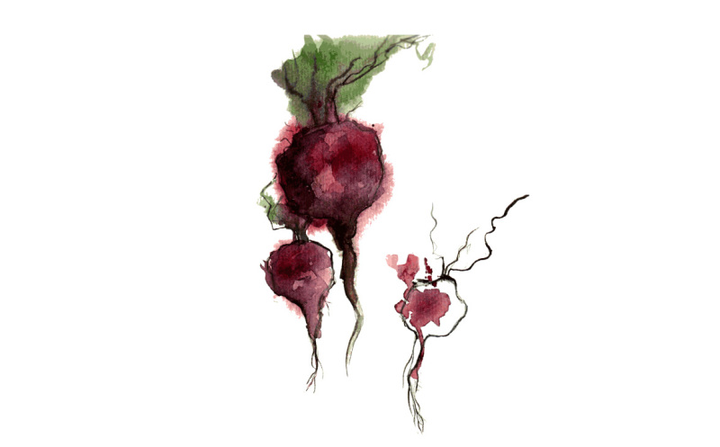 beet-watercolor