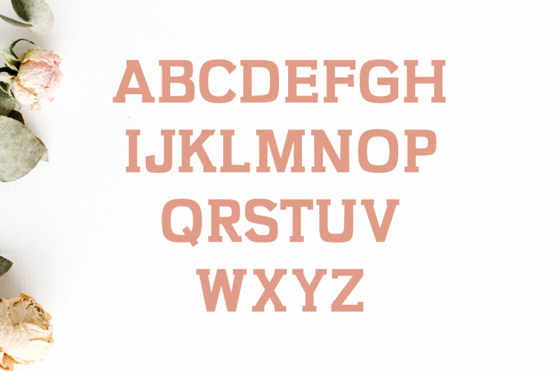 kaayla-slab-serif-4-font-pack