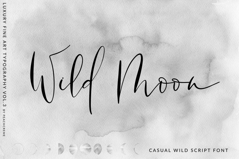 wild-moon-casual-script-font