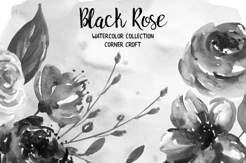 watercolor-black-rose-collection