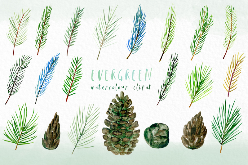 evergreen-forest-watercolour-collection-winter-forest-elements
