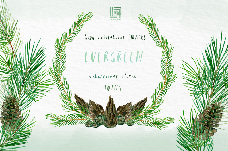 evergreen-forest-watercolour-collection-winter-forest-elements