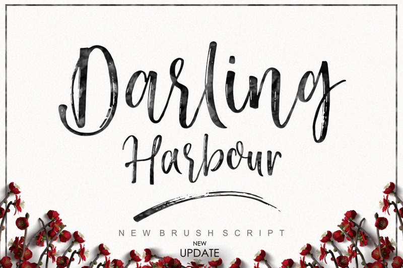 darling-harbour-brush