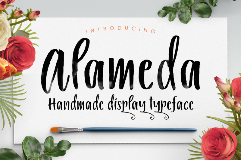 alameda-typeface