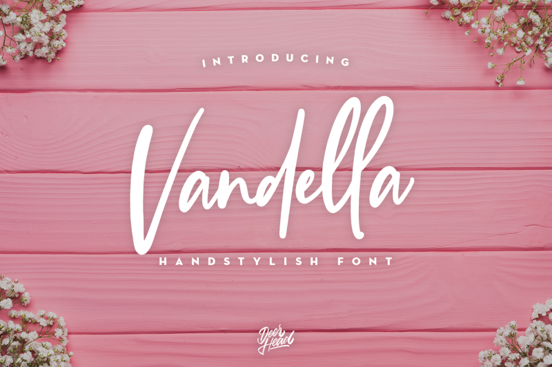 vandella-handstylish-font