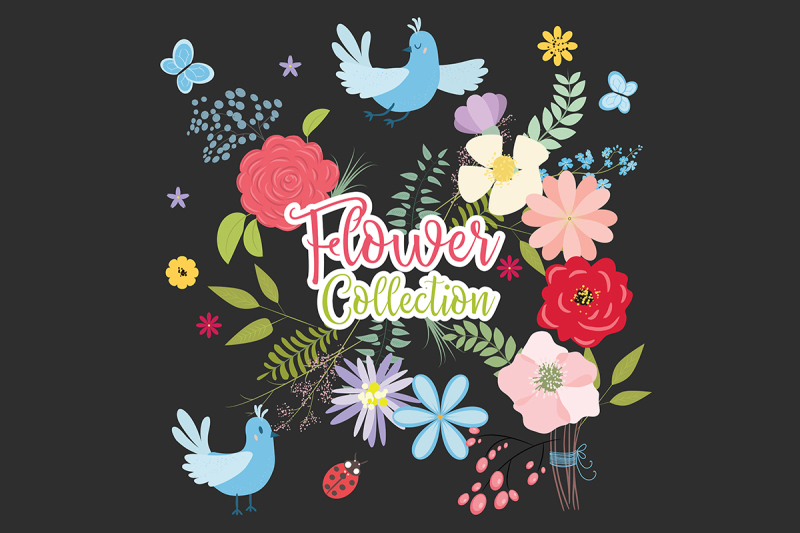flower-collection