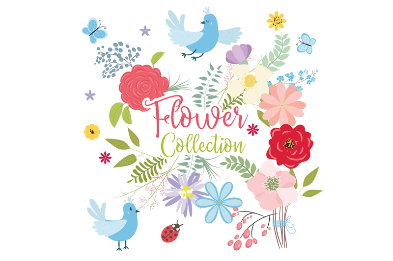 flower-collection