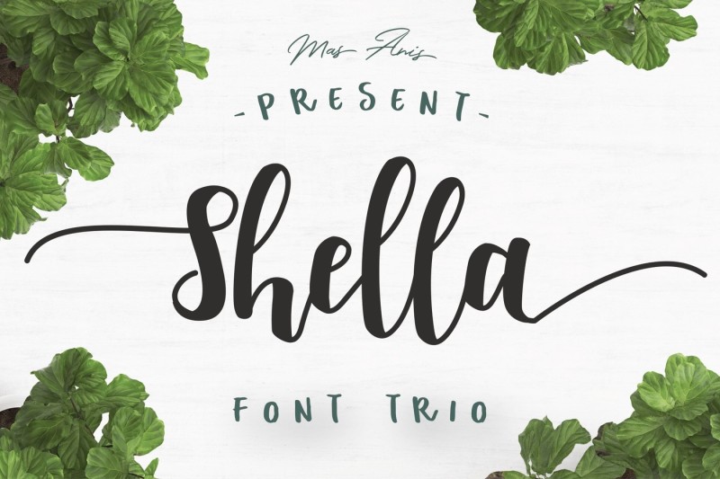 shella-font-trio