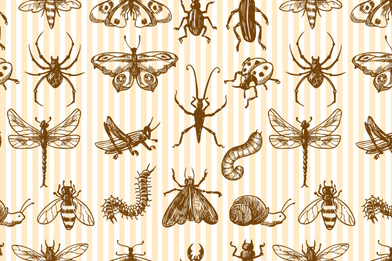 insects-sketch-vector-set