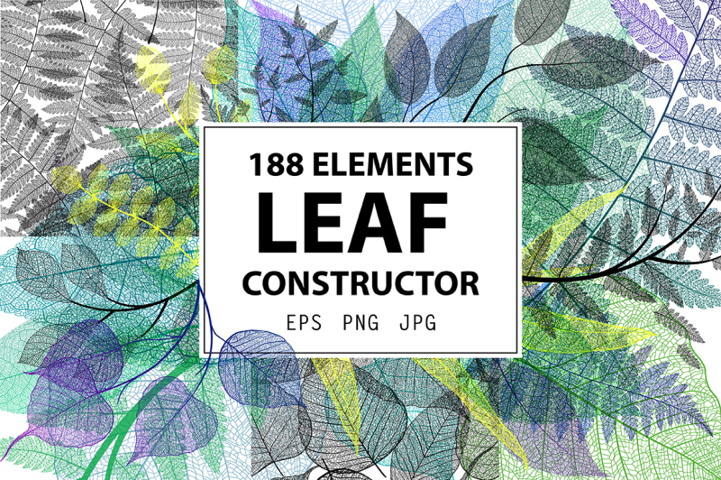 leaf-constructor-realistic-drawn-leaves-collection