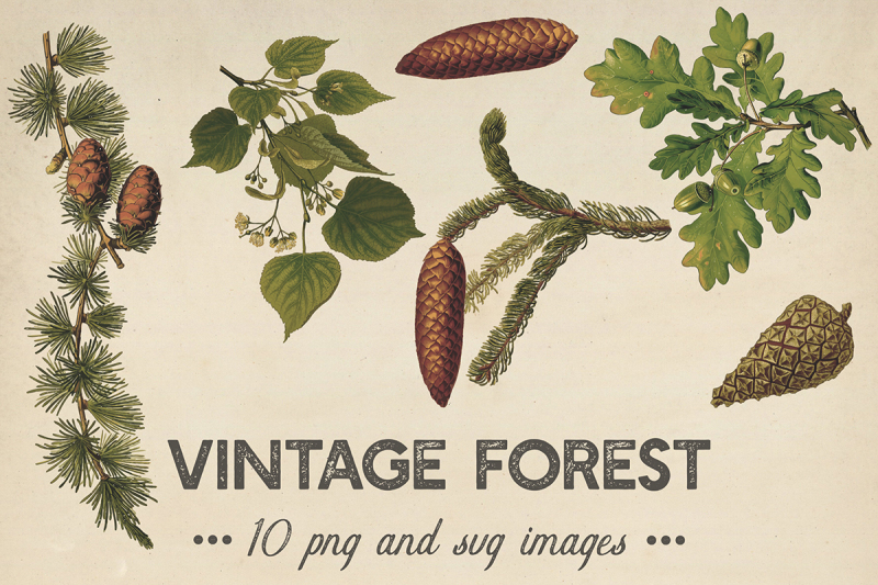 vintage-plants-clipart
