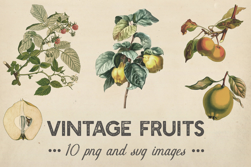shabby-fruits-and-plants-clipart