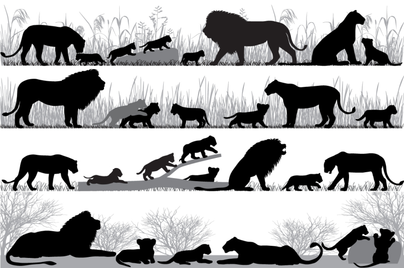 lion-039-s-family-silhouette