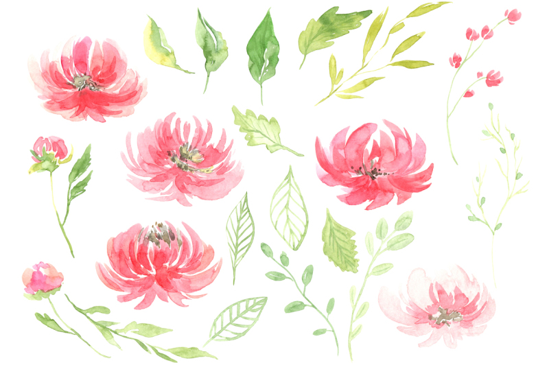 watercolor-peony-flowers-leaves