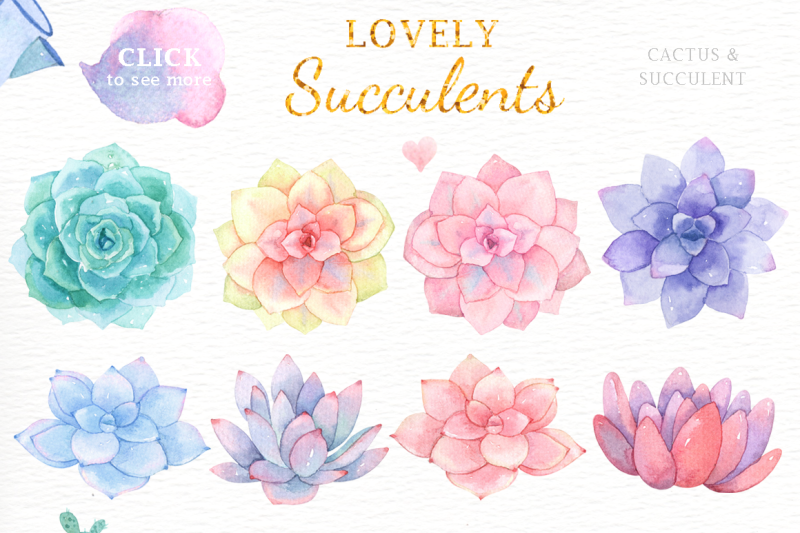 lovely-succulents-watercolor-clipart