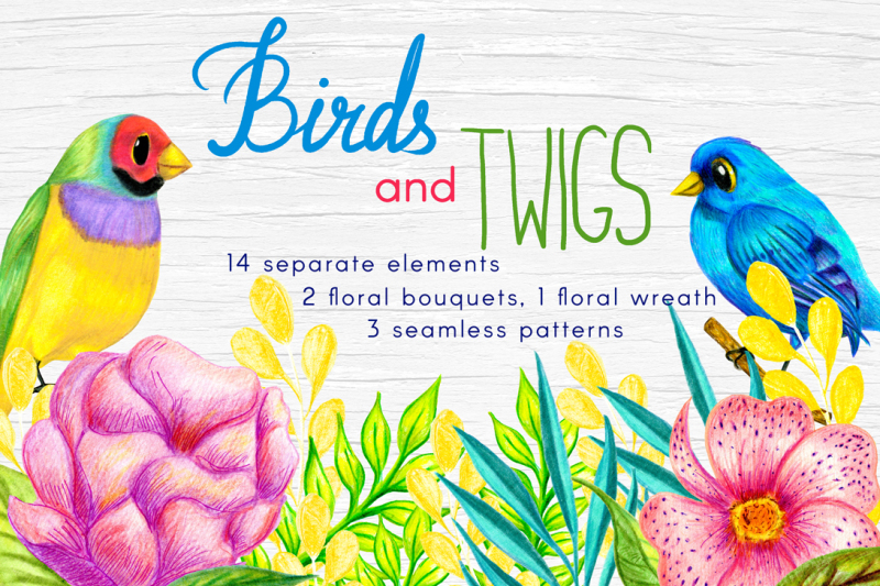 birds-and-twigs